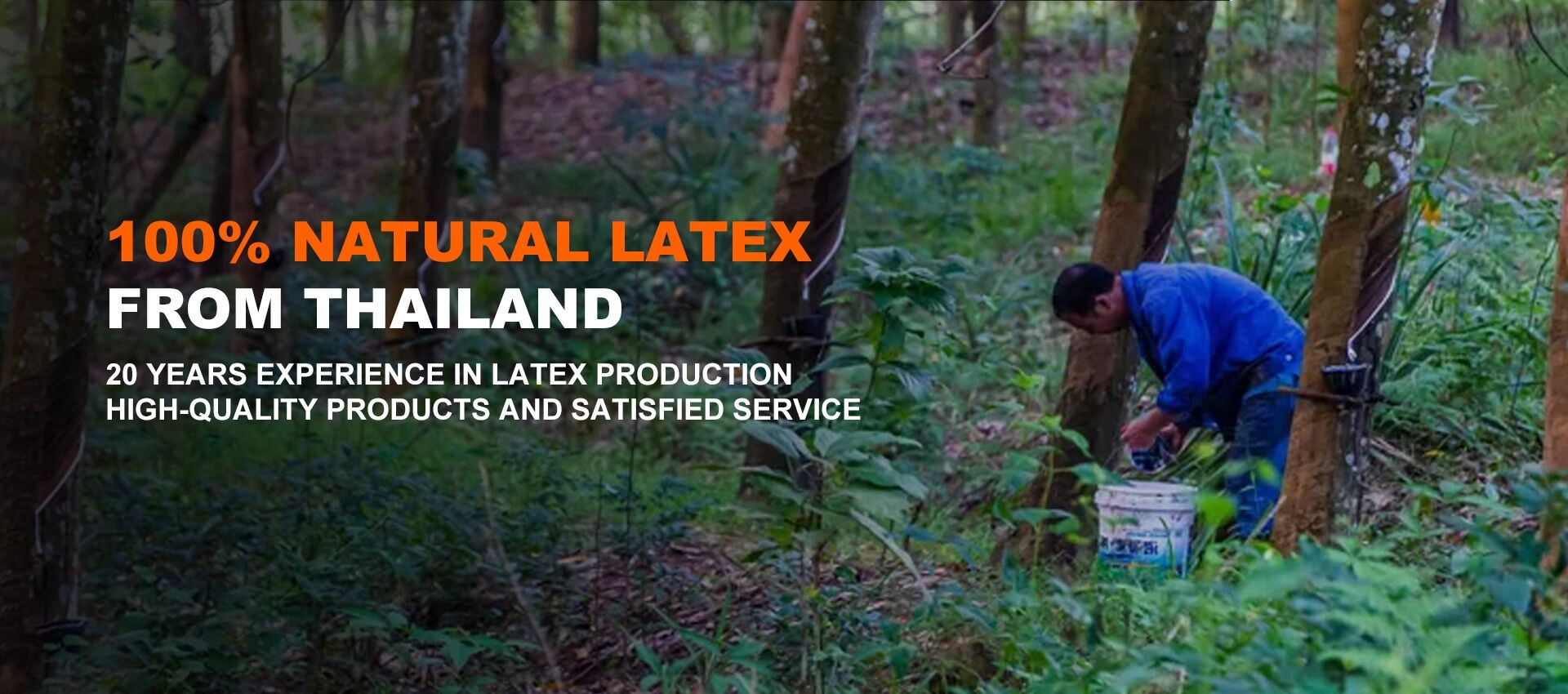Fornimentu di u Tattras di Tatex Naturale